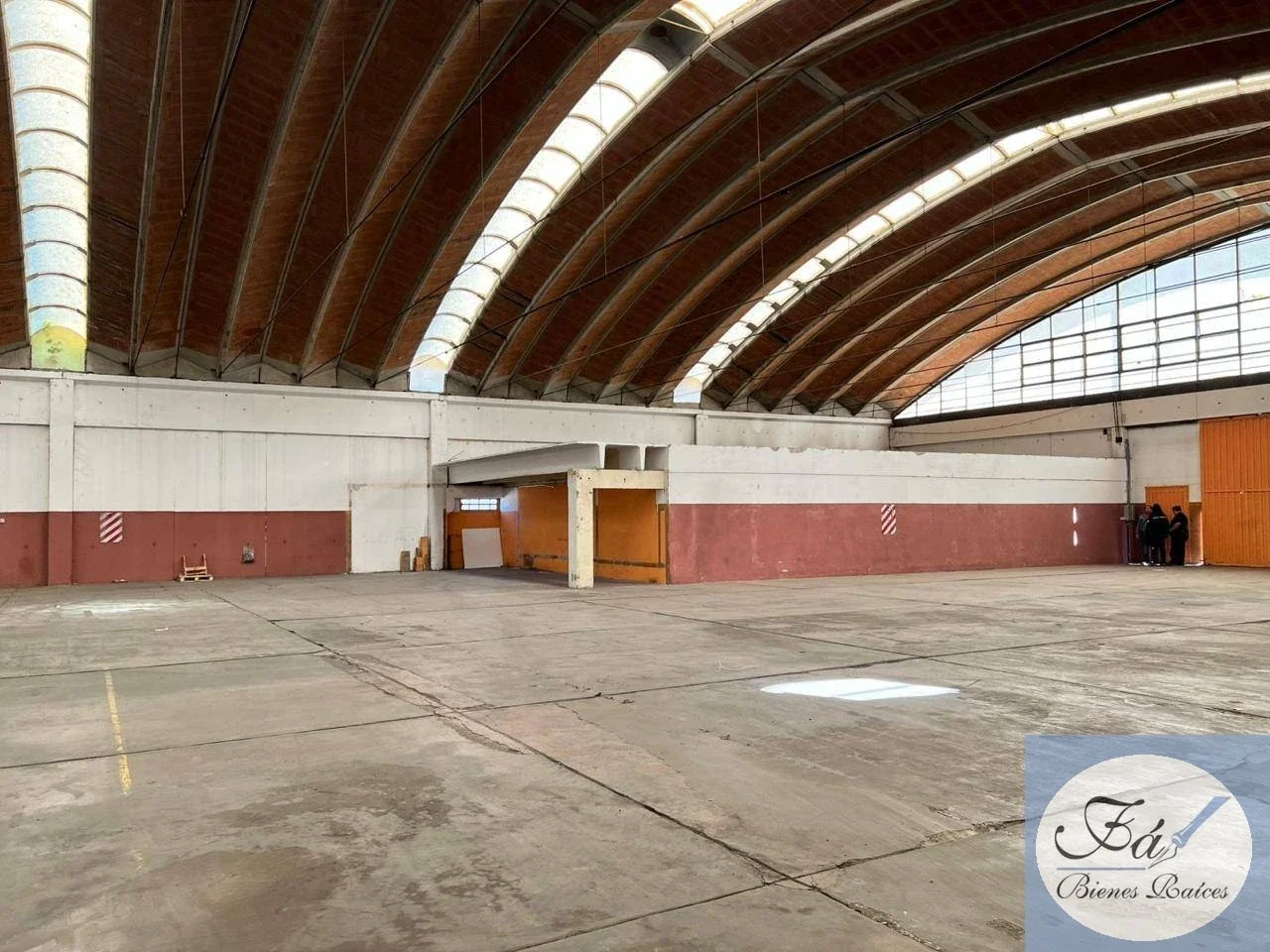 Galpón 2.000m2 Parque Industrial - San Luis - Imagen 5