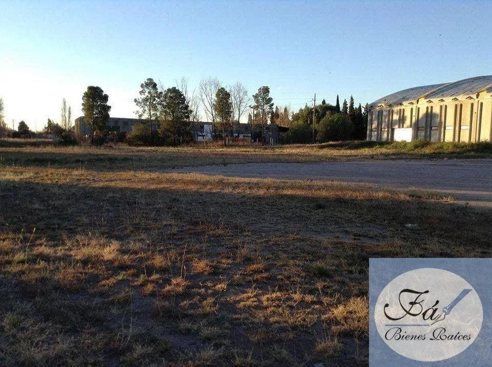 Galpón 2.000m2 Parque Industrial - San Luis - Imagen 2