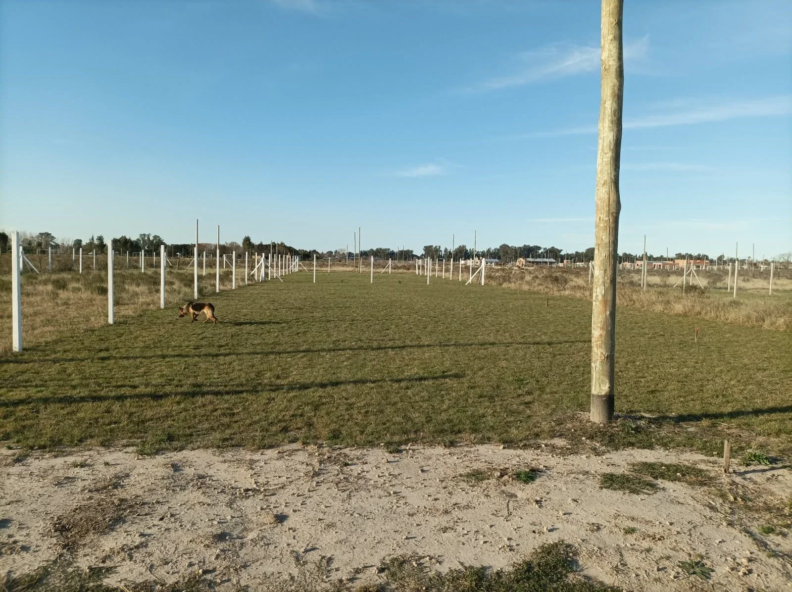 Lote en Fincas Altos del Plata - Imagen 2