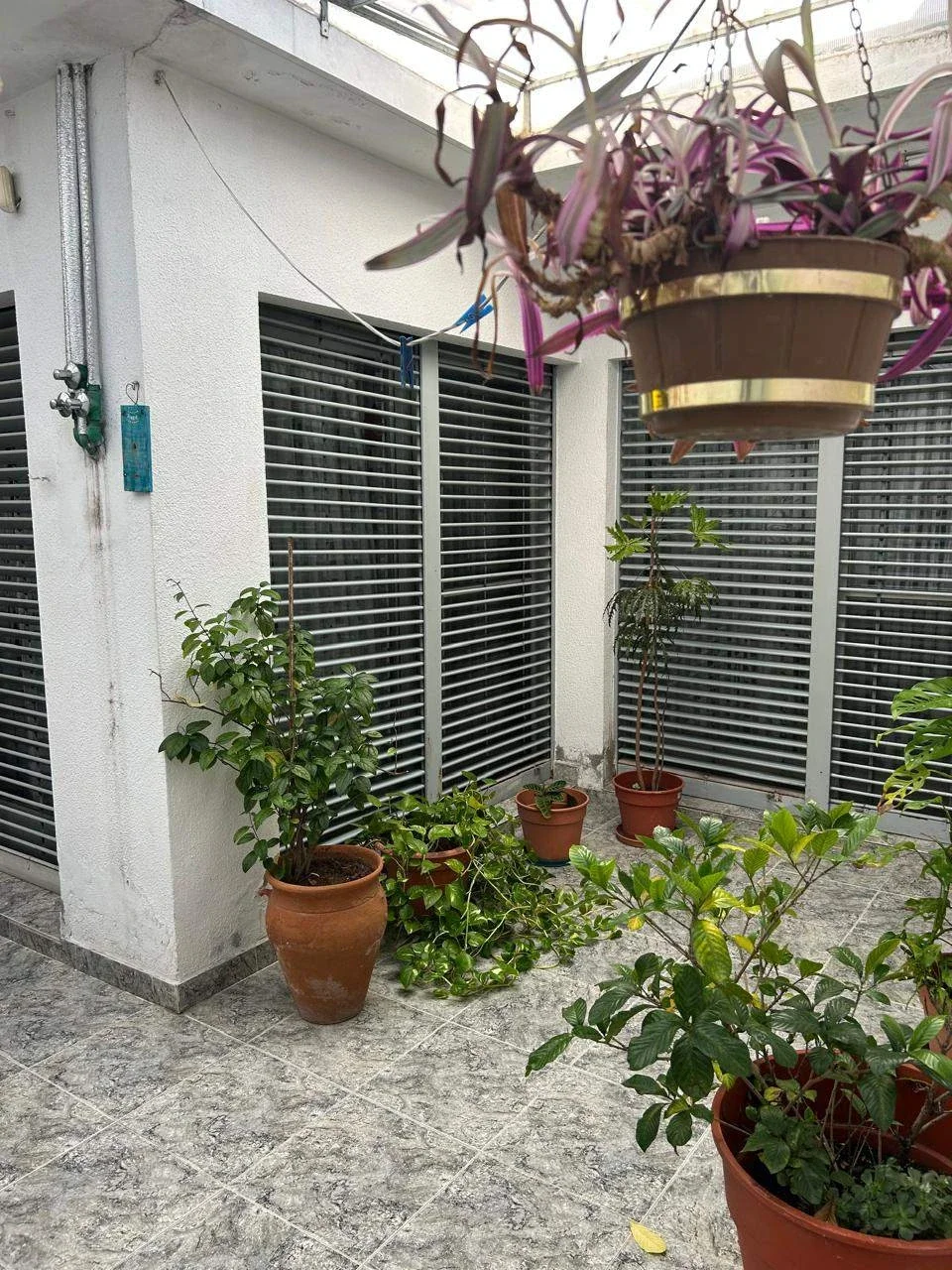 Casa en venta c/ cochera en Tolosa - Imagen 2