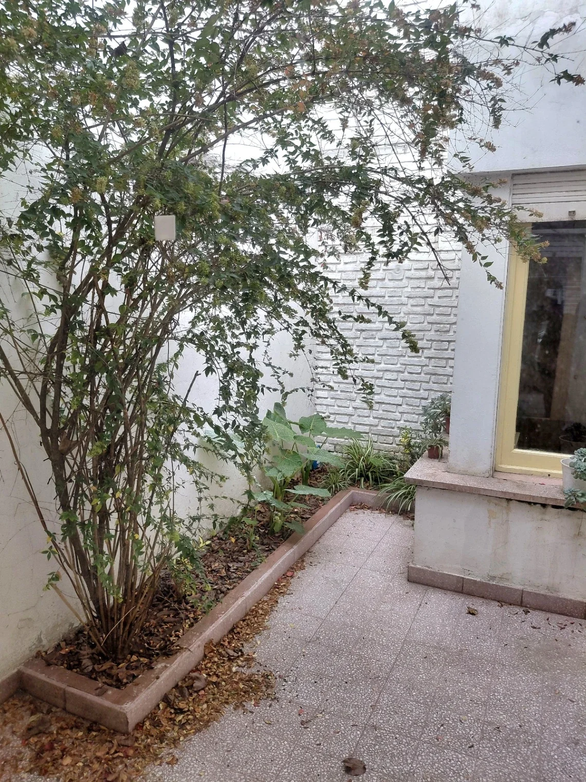 Casa en alquiler c/ cochera en Pergamino - Imagen 4