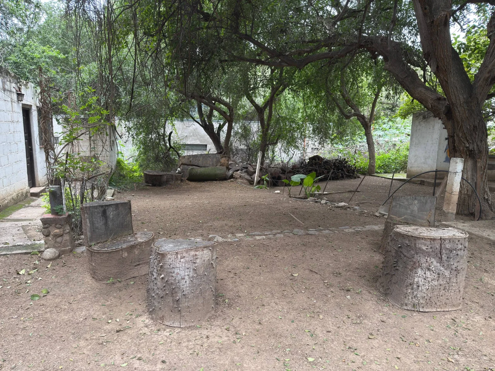 CASA CON QUINCHO Y PARQUE AMPLIO - Imagen 2