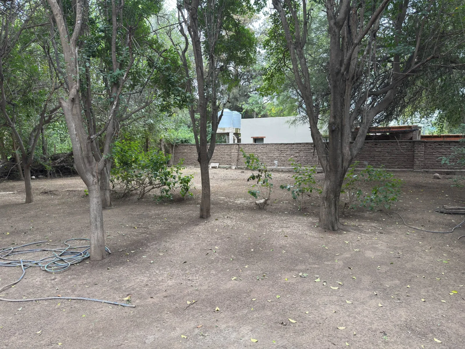 CASA CON QUINCHO Y PARQUE AMPLIO - Imagen 3