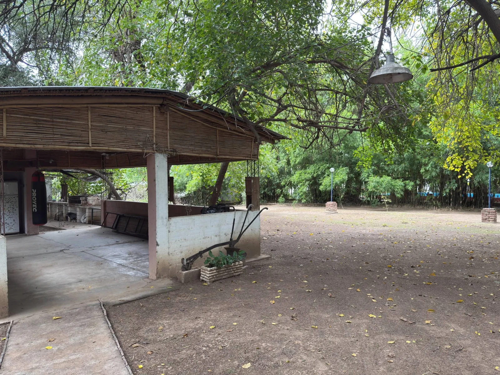 CASA CON QUINCHO Y PARQUE AMPLIO - Imagen 5