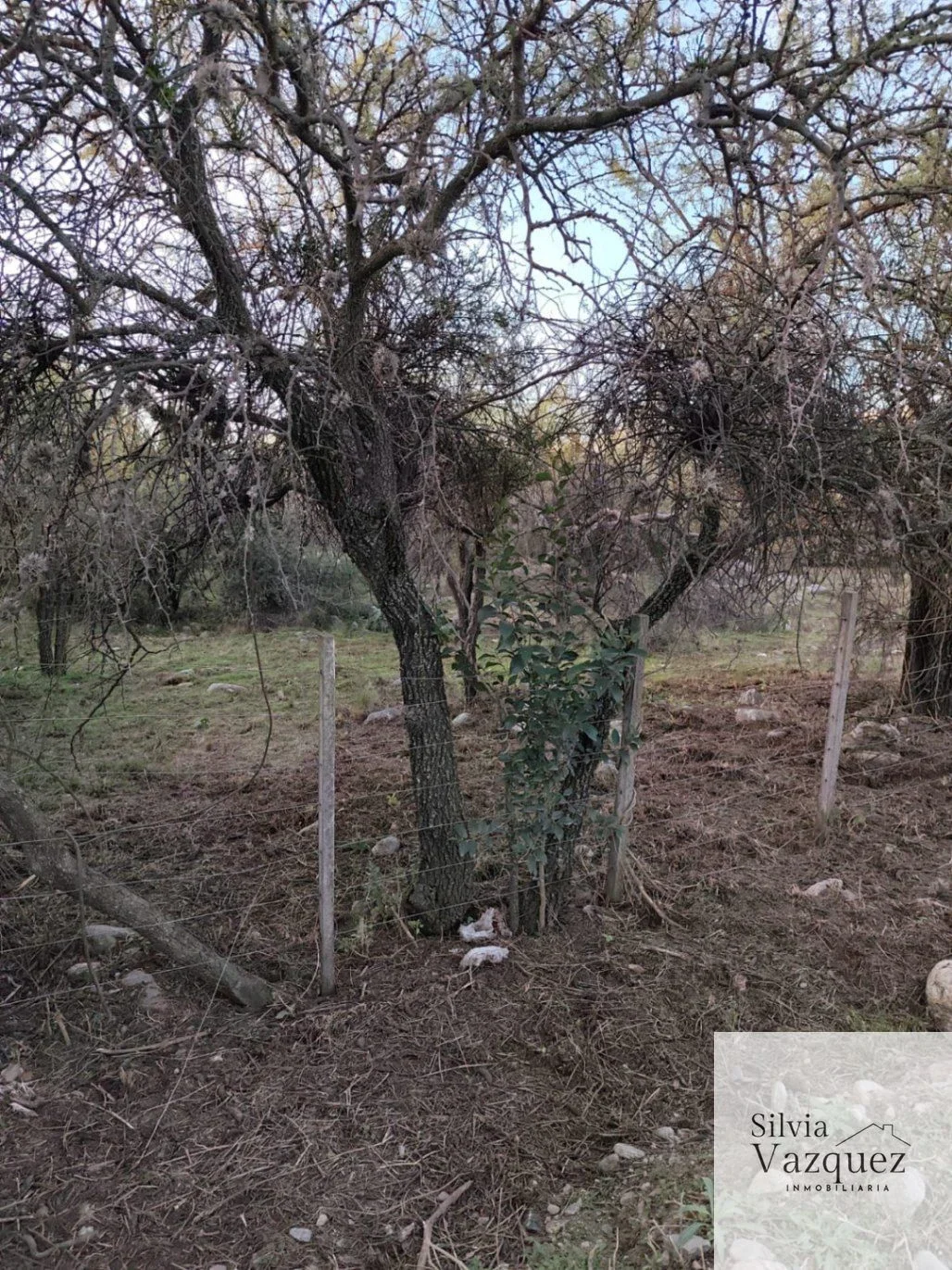 Terreno / Lote en Las Moreras, Merlo, San Luis - Imagen 3