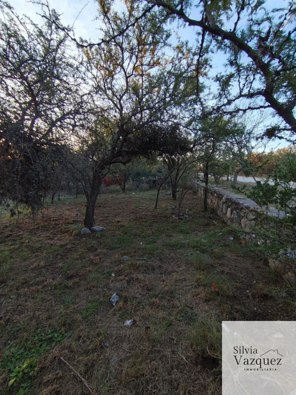 Terreno / Lote en Las Moreras, Merlo, San Luis - Imagen 5