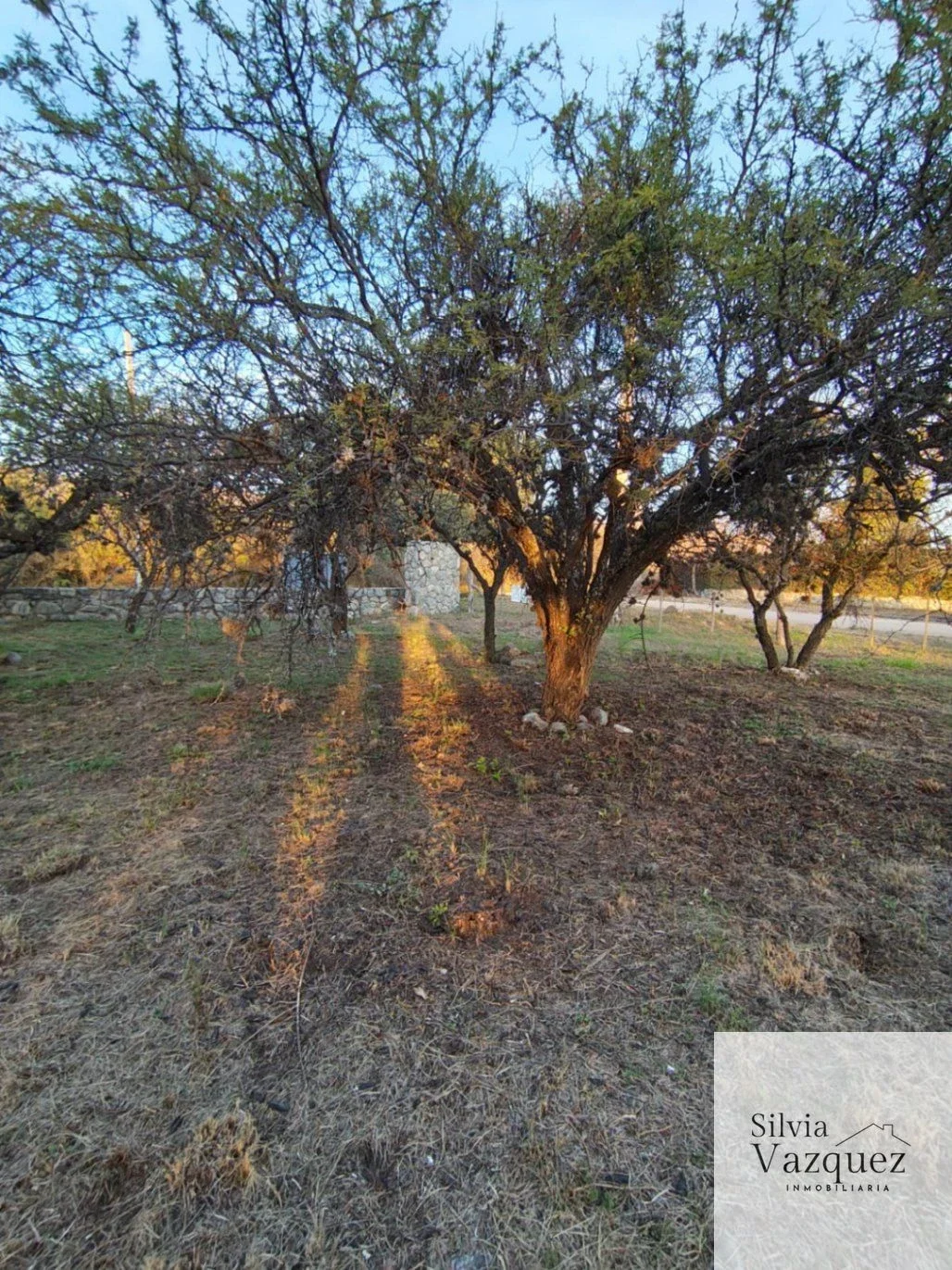 Terreno / Lote en Las Moreras, Merlo, San Luis - Imagen 2