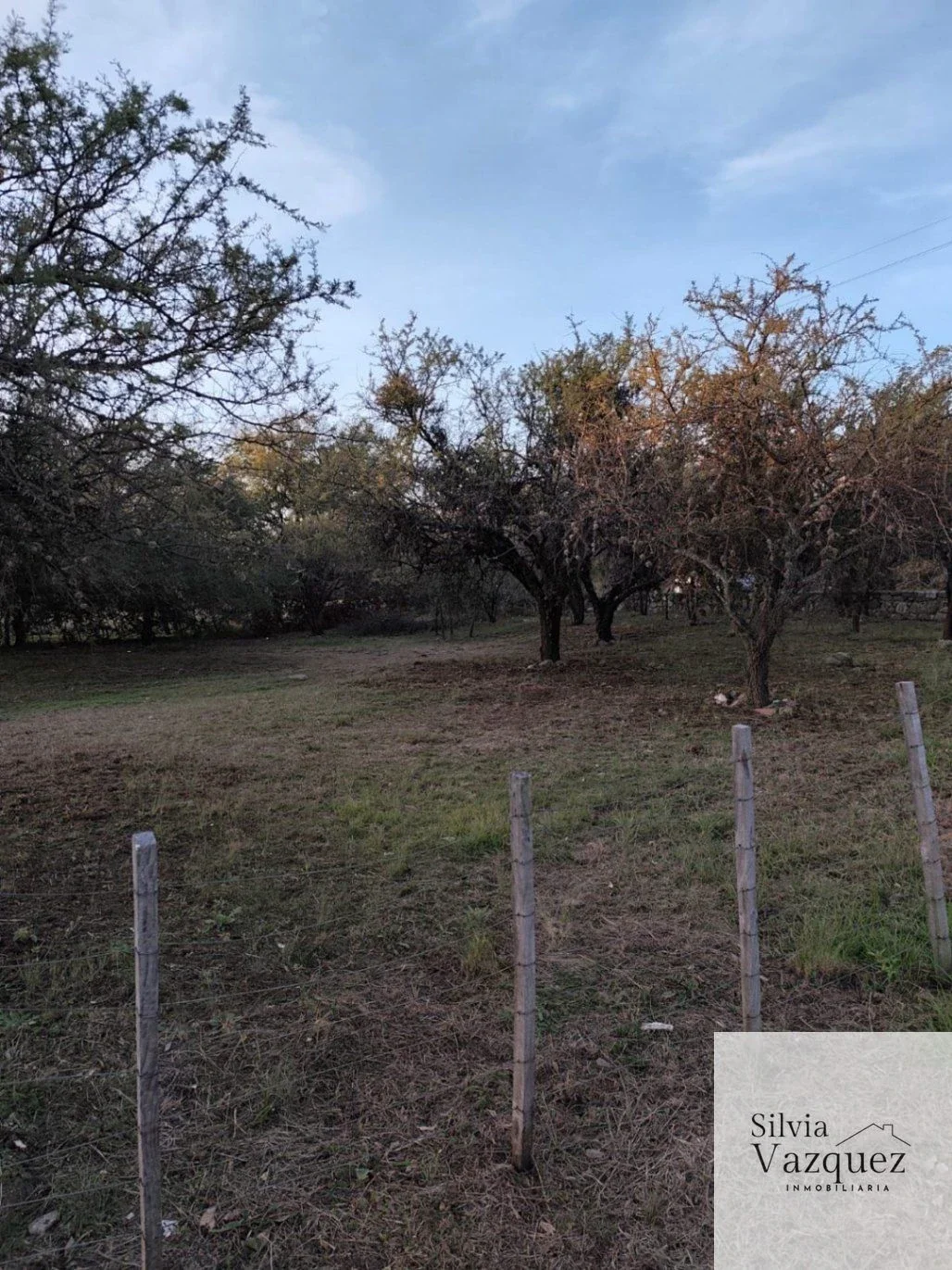 Terreno / Lote en Las Moreras, Merlo, San Luis - Imagen 4