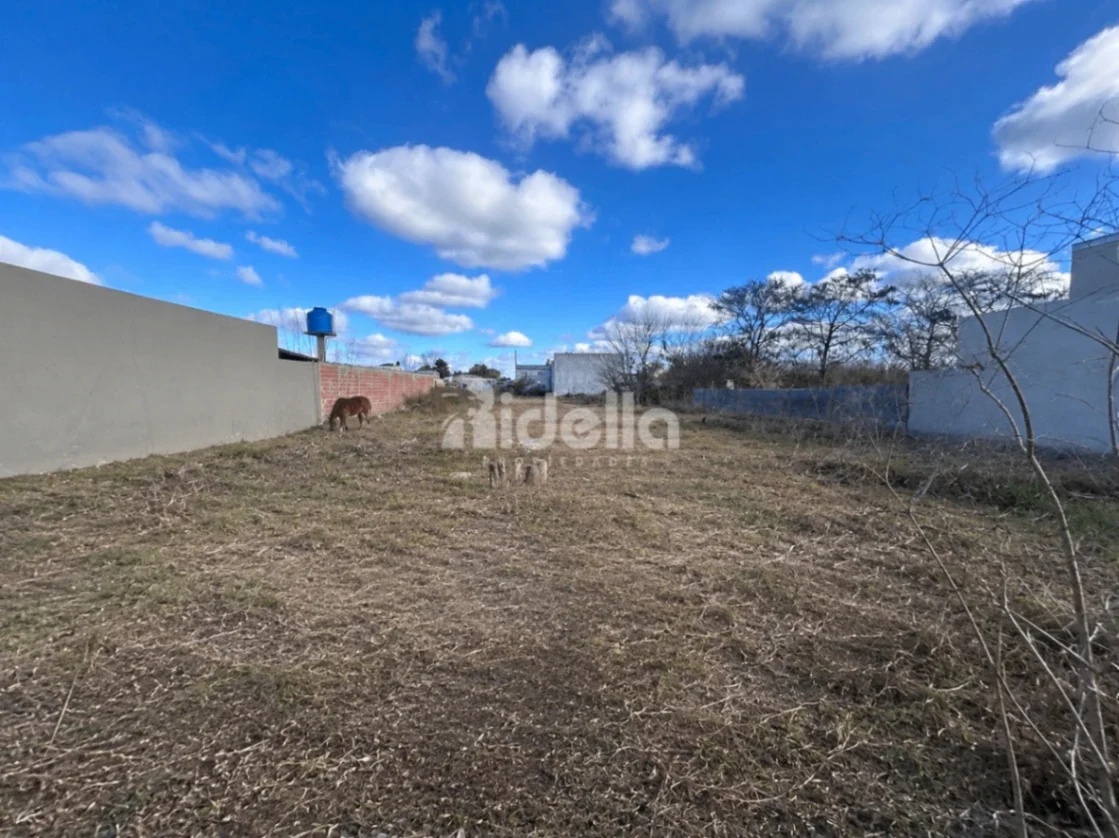 576 m² — lote 12×48 pavimentado con servicios — ESCRITURAR INMEDIATA - Imagen 5
