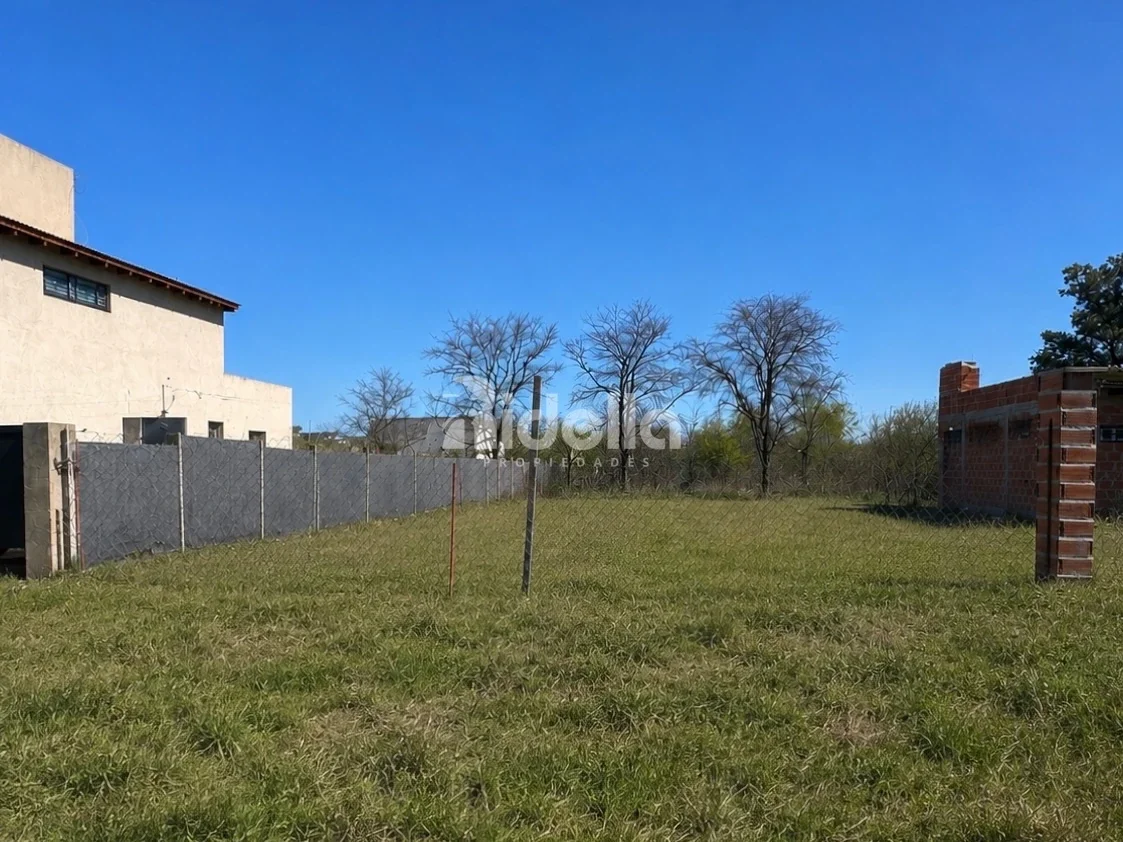 432 m² — lote 12×36 pavimentado con servicios — ESCRITURAR INMEDIATA - Imagen 2