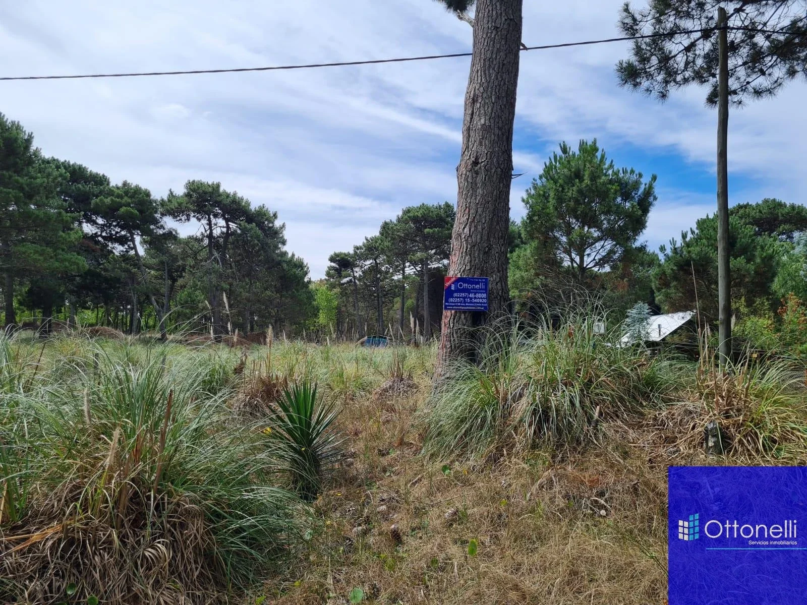 Terreno / Lote en venta de 1600m2 ubicado en La Lucila del Mar - Imagen 5
