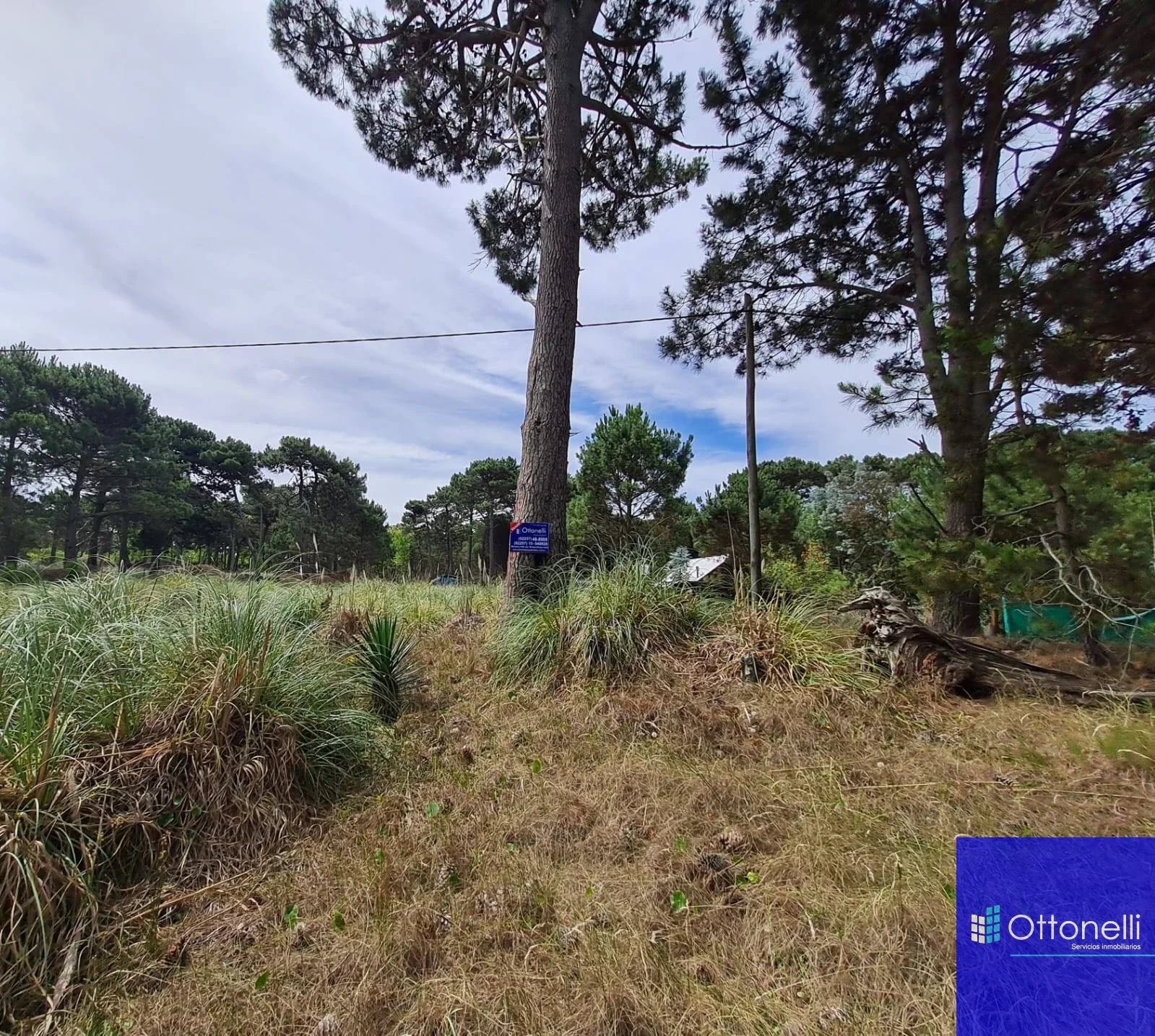 Terreno / Lote en venta de 1600m2 ubicado en La Lucila del Mar - Imagen 3