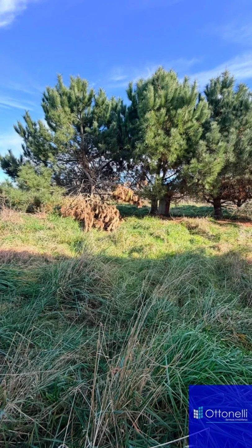 Galpón en venta de 4000m2 ubicado en Costa del Este - Imagen 5