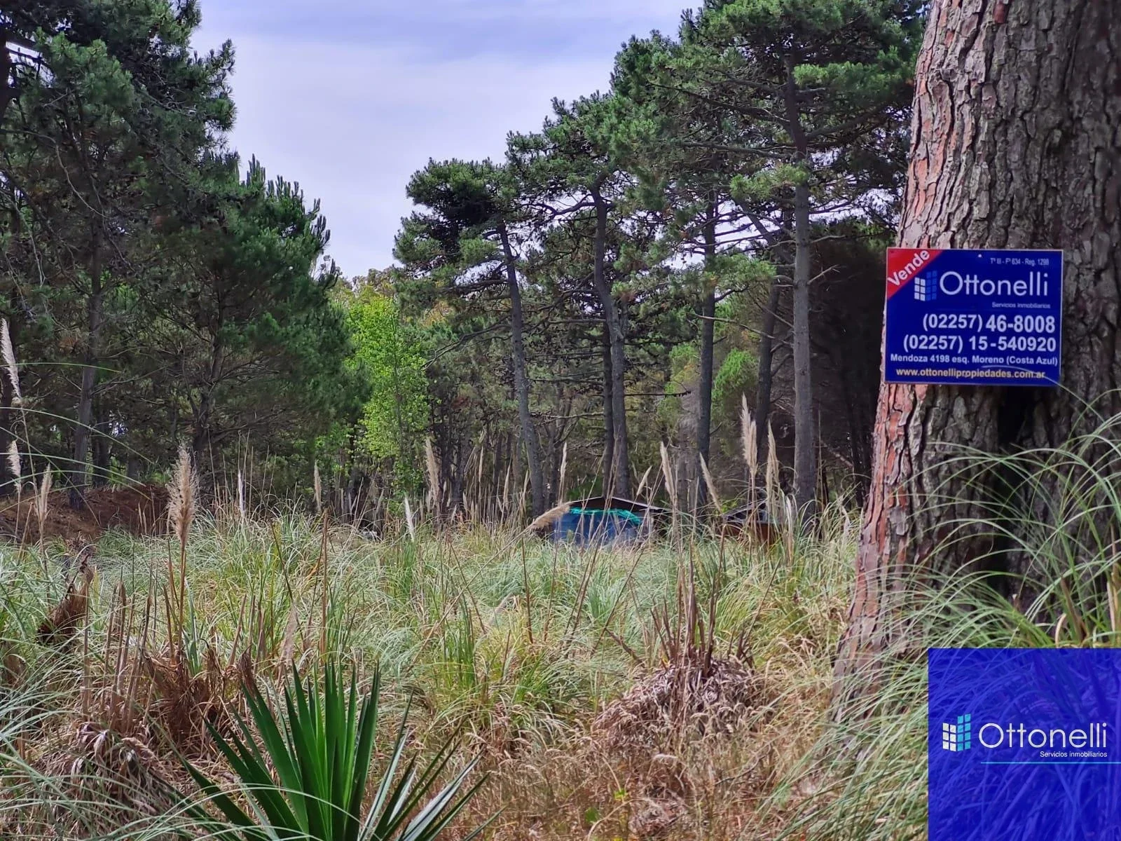 Terreno / Lote en venta de 1600m2 ubicado en La Lucila del Mar - Imagen 2