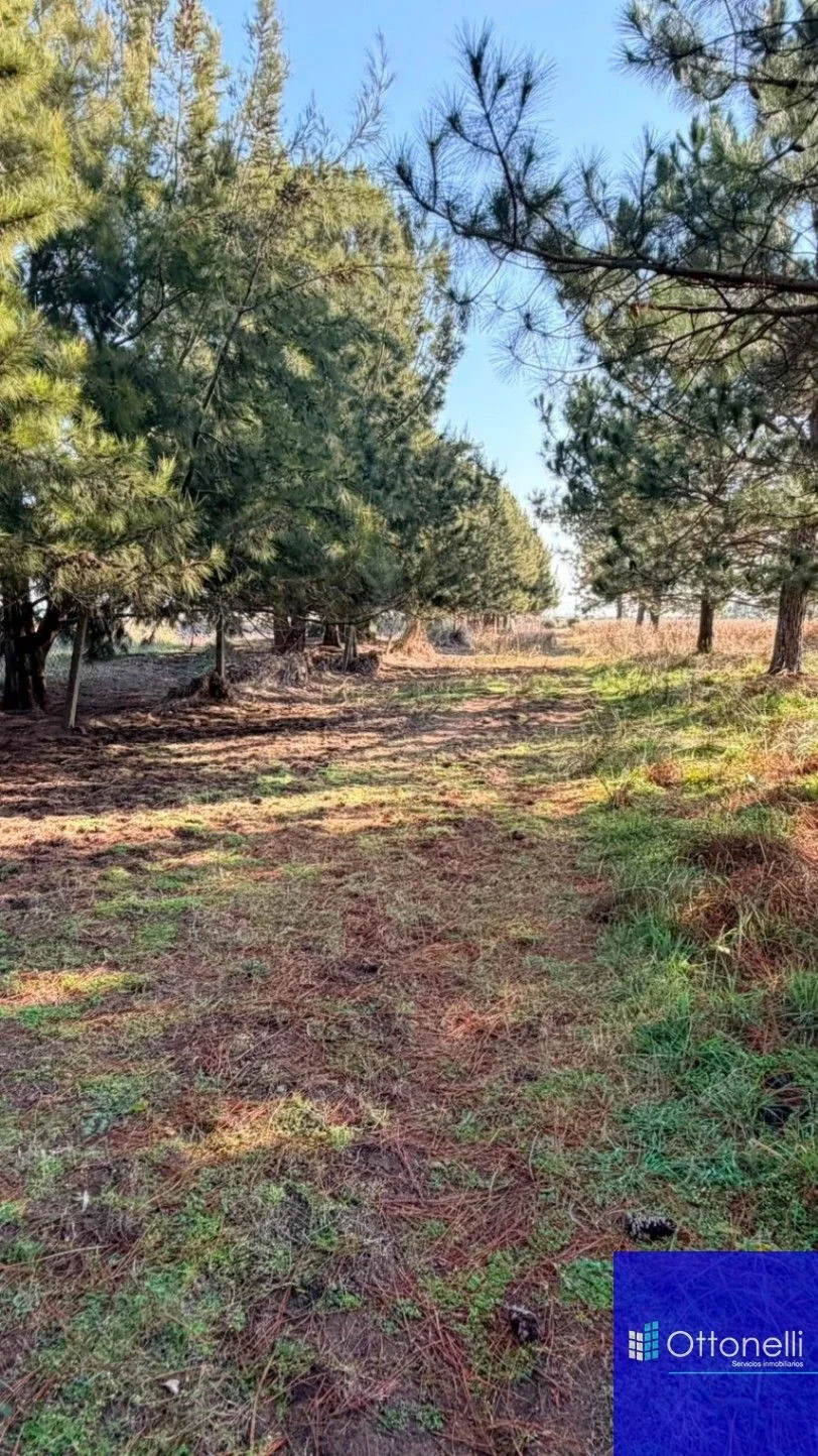 Campo en venta de 134m2 ubicado en Aguas Verdes - Imagen 3