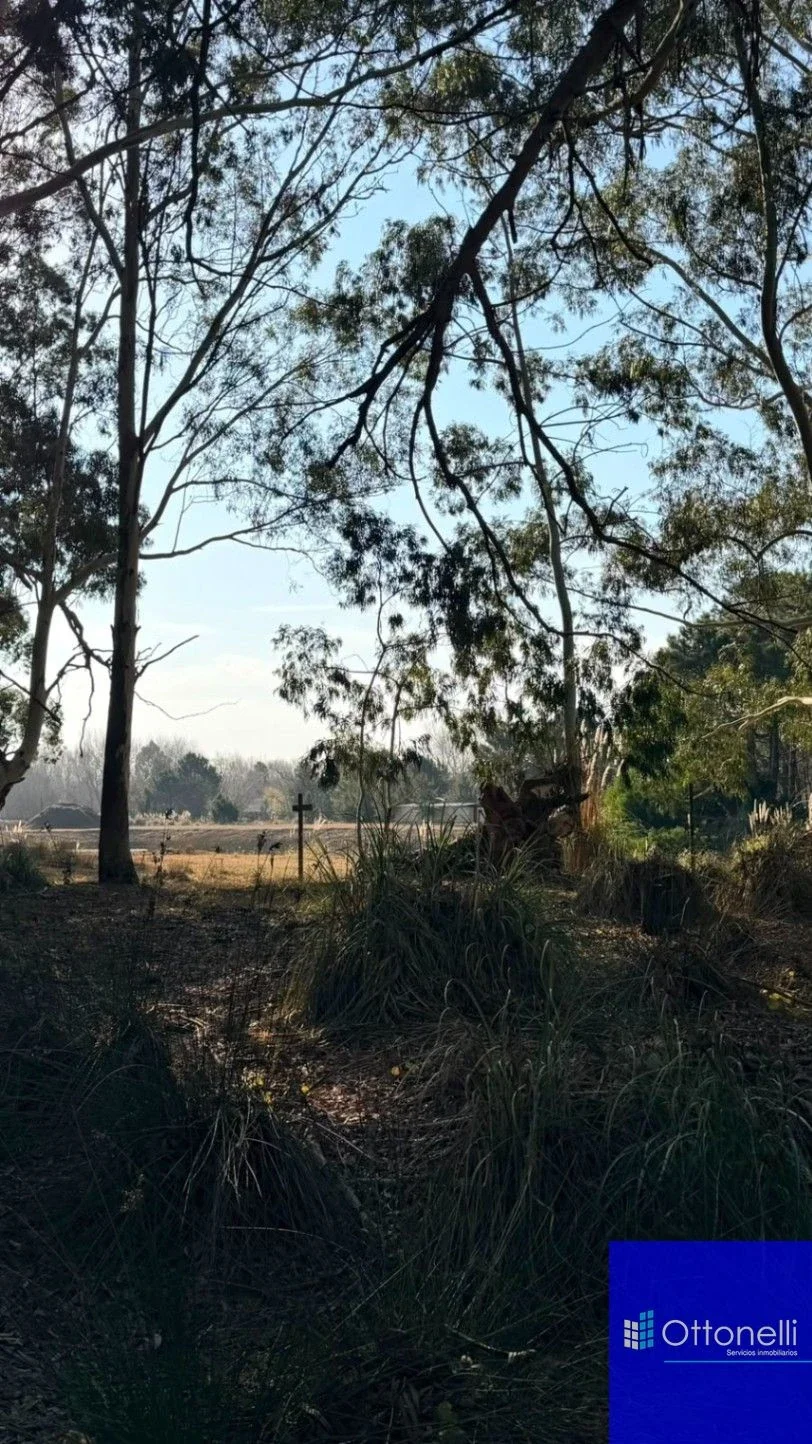 Campo en venta de 134m2 ubicado en Aguas Verdes - Imagen 4