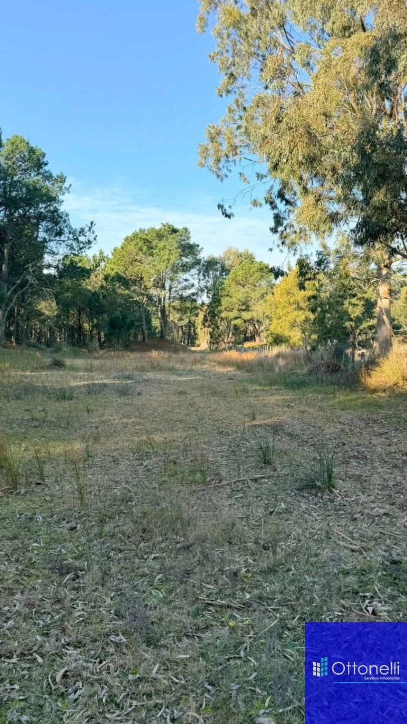 Campo en venta de 134m2 ubicado en Aguas Verdes - Imagen 5