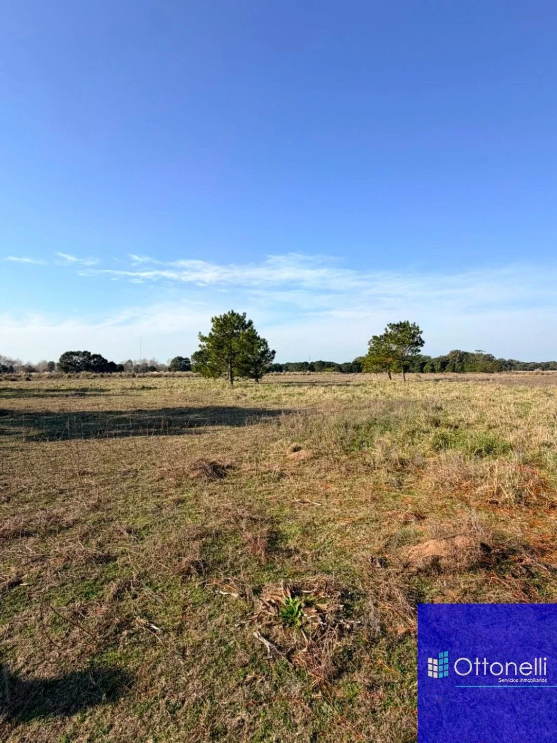 Campo en venta de 134m2 ubicado en Aguas Verdes - Imagen 2