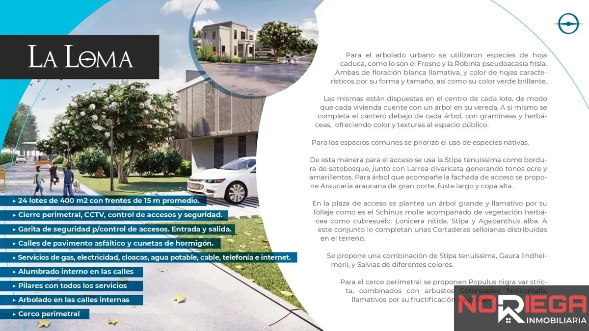 Terreno / Lote en venta de 430m2 ubicado en Bella Vista - Imagen 2