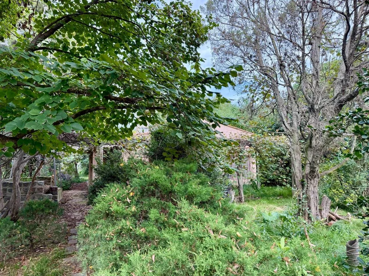 Venta Campo General Rodriguez - Imagen 5