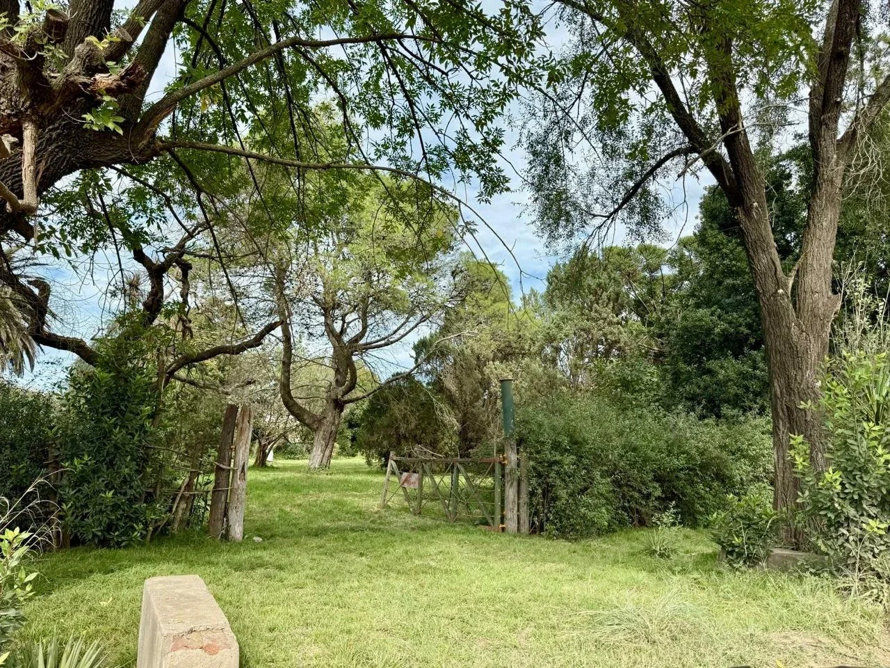 Venta Campo General Rodriguez - Imagen 1