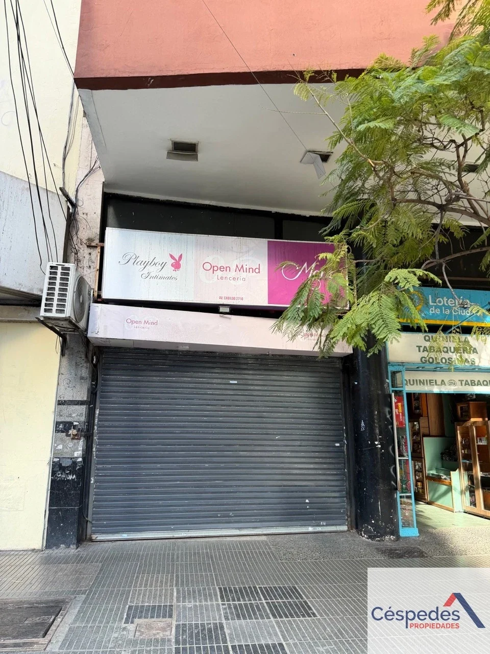 Local Comercial Av Cabildo 2700 doble altura - Imagen 4