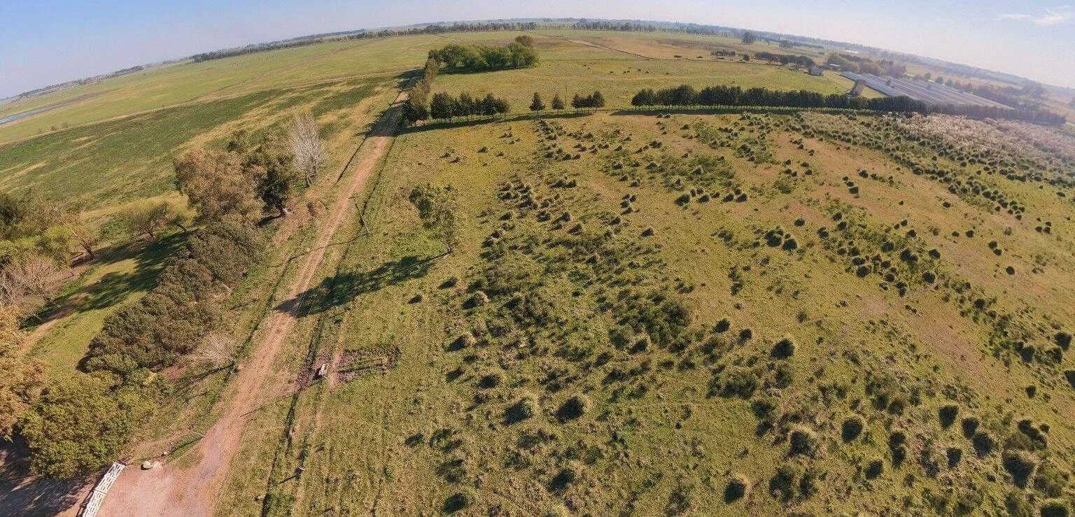 Campo en venta de 4.38m2 ubicado en Campos de Cañuelas - Imagen 2
