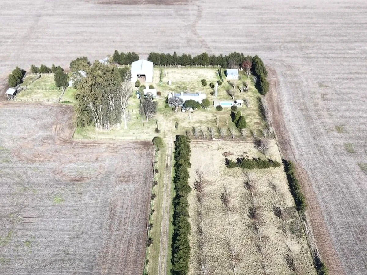 Campo en venta de 41ha ubicado en Cazón - Imagen 1