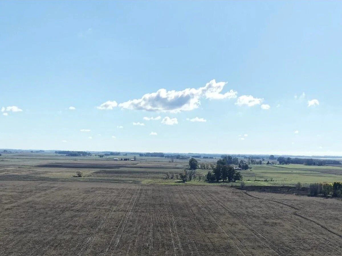 Campo en venta de 98ha ubicado en Saladillo - Imagen 2