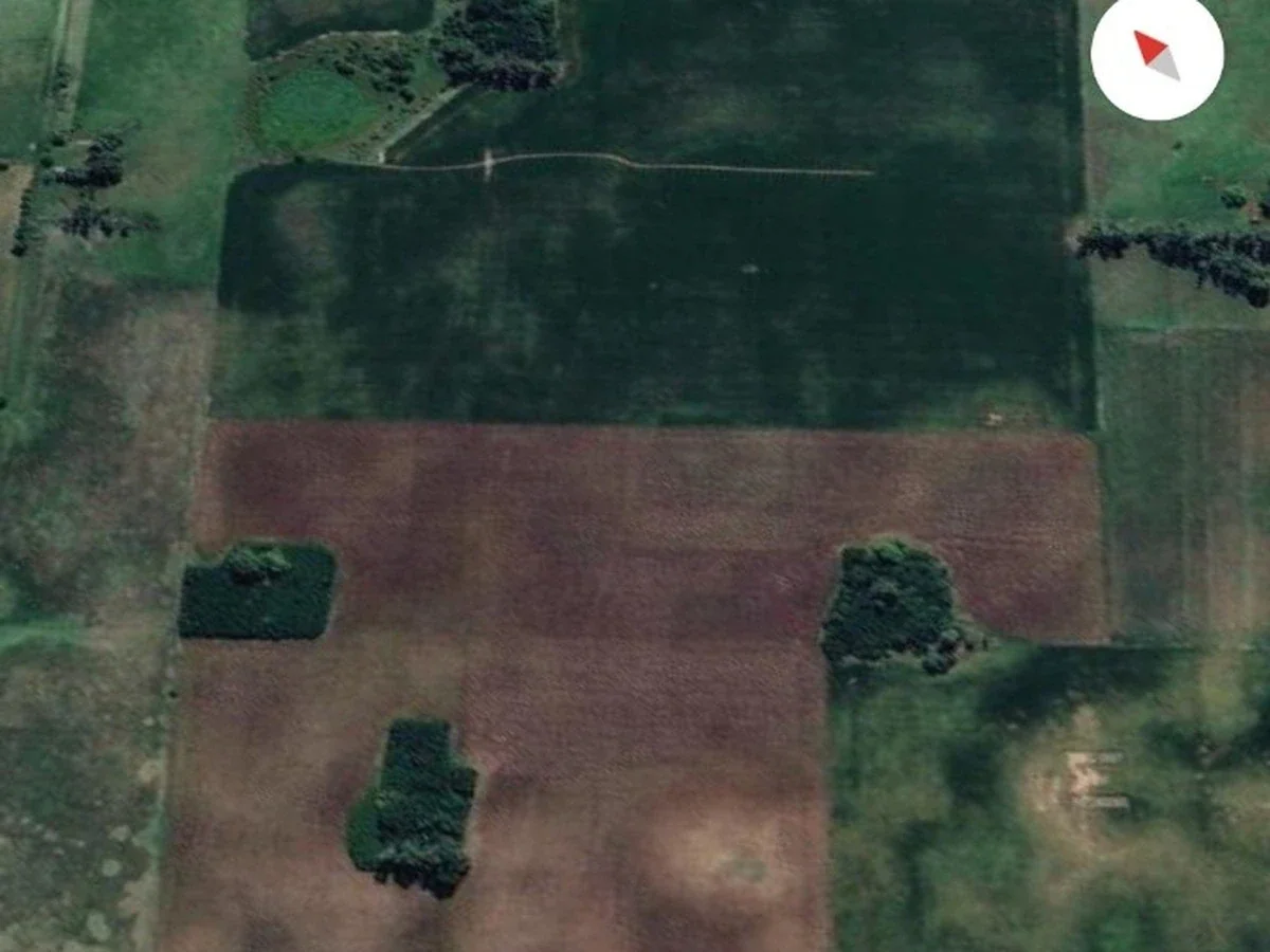 Campo en venta de 98ha ubicado en Saladillo - Imagen 3
