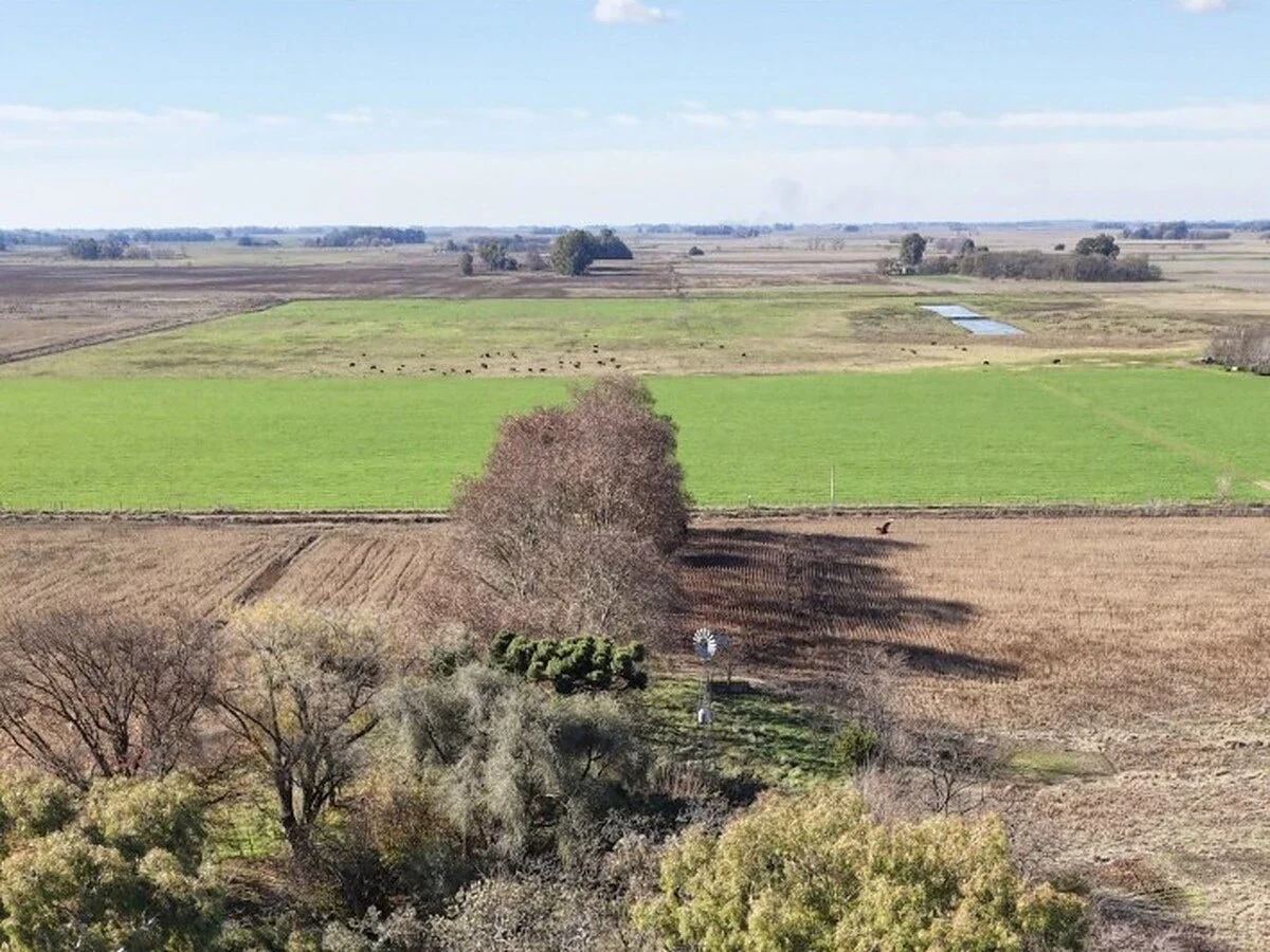 Campo en venta de 98ha ubicado en Saladillo - Imagen 4