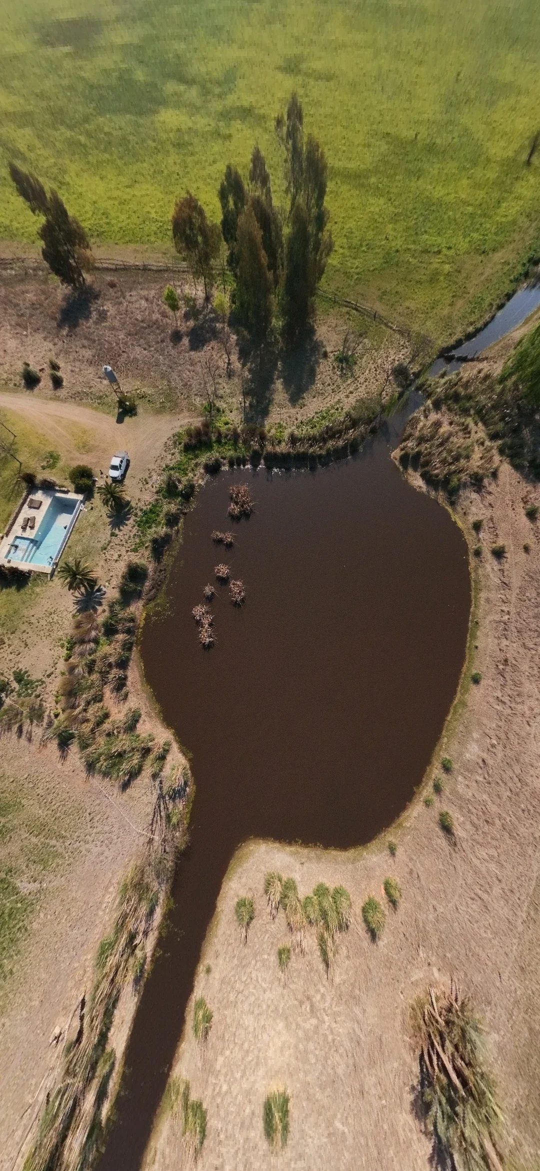 Campo en venta de 74ha ubicado en Ezeiza - Imagen 2