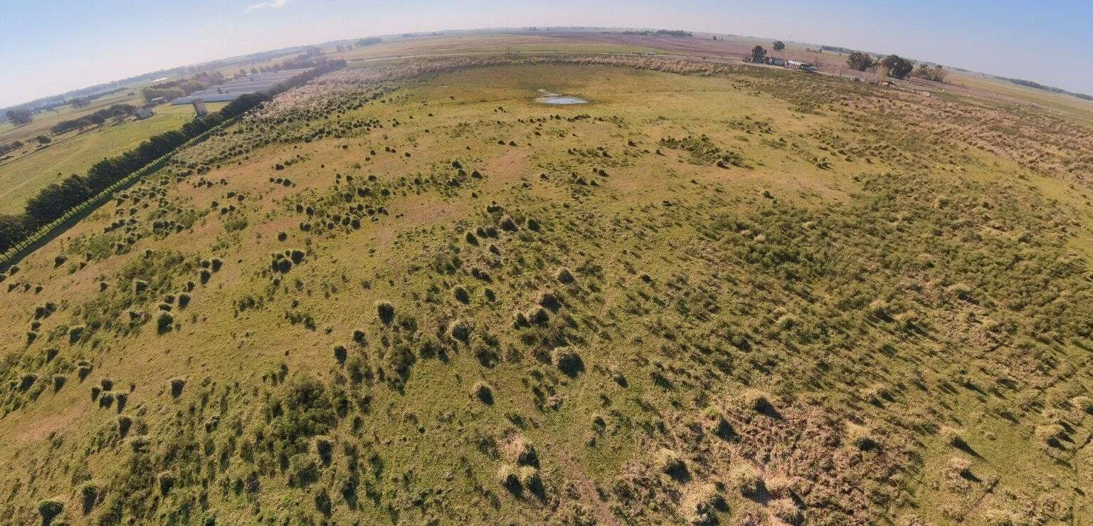 Campo en venta de 4.38m2 ubicado en Campos de Cañuelas - Imagen 3