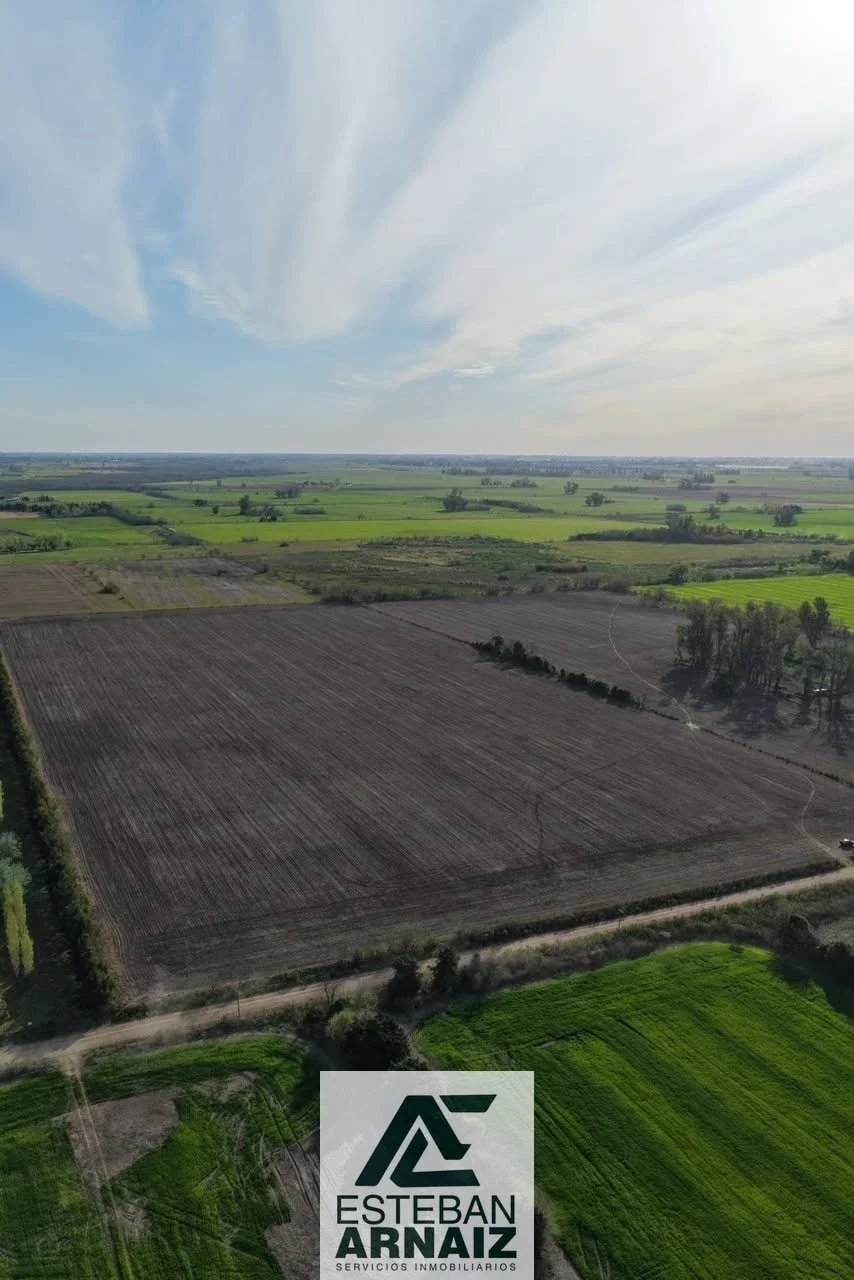 Campo en venta de 144694m2 ubicado en Gowland - Imagen 1