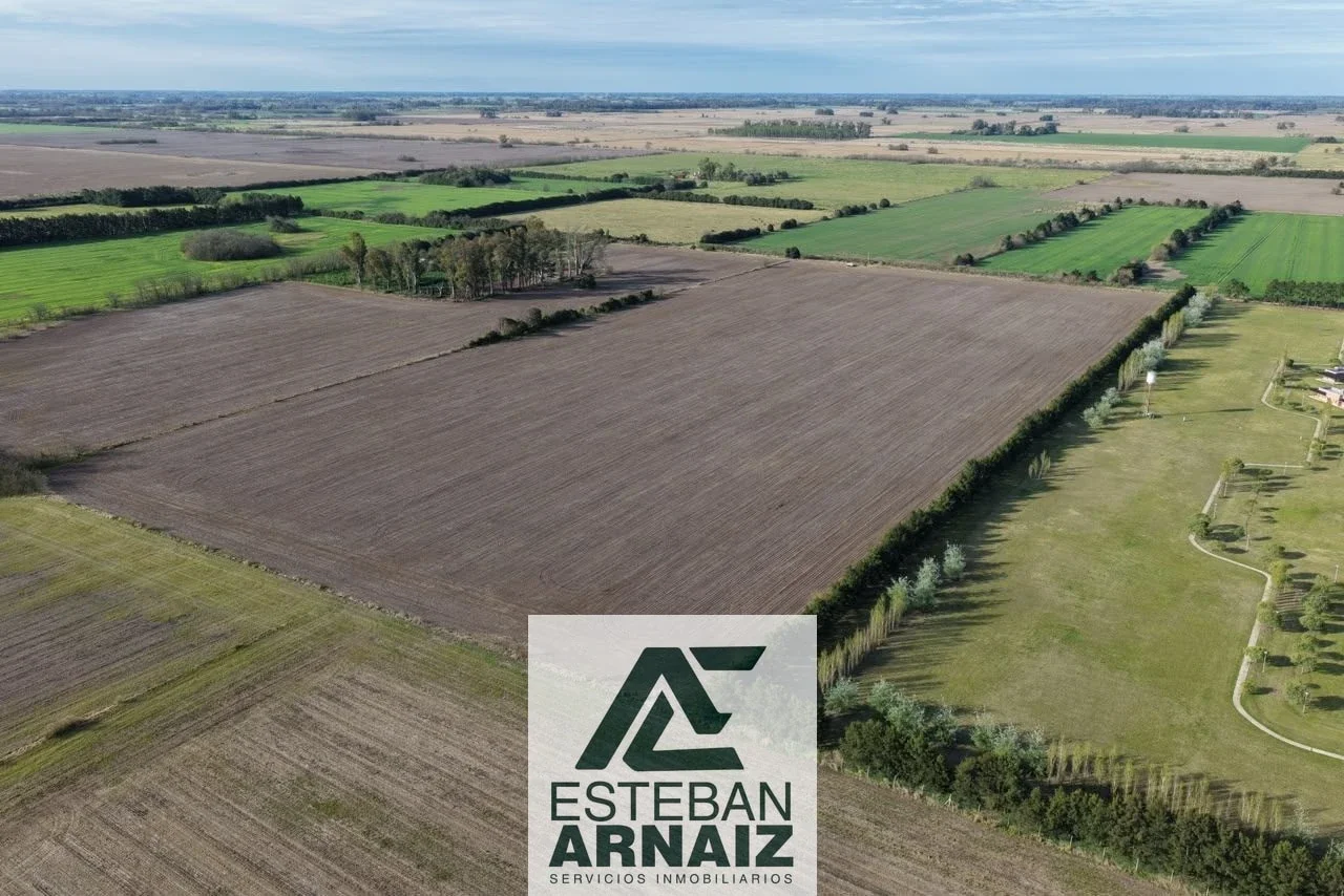Campo en venta de 144694m2 ubicado en Gowland - Imagen 2
