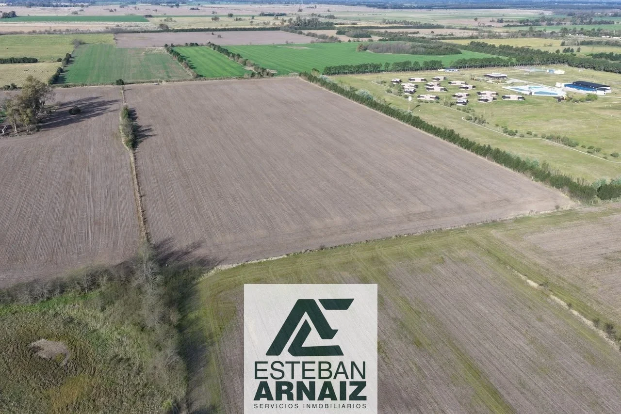 Campo en venta de 144694m2 ubicado en Gowland - Imagen 4