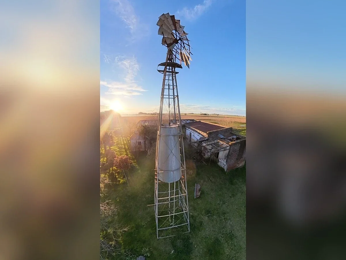 Campo en venta de 23ha ubicado en Saladillo - Imagen 3