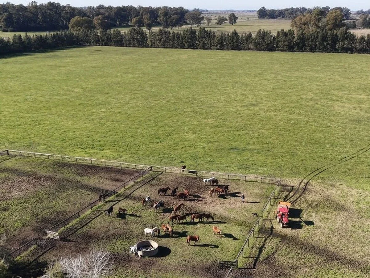 Campo en venta de 36m2 ubicado en Ezeiza - Imagen 3