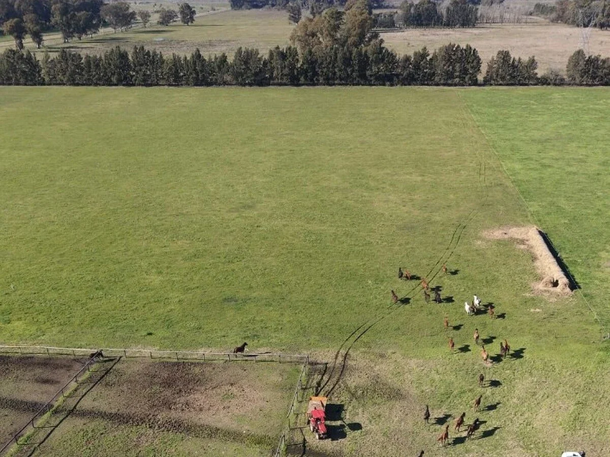 Campo en venta de 36m2 ubicado en Ezeiza - Imagen 5