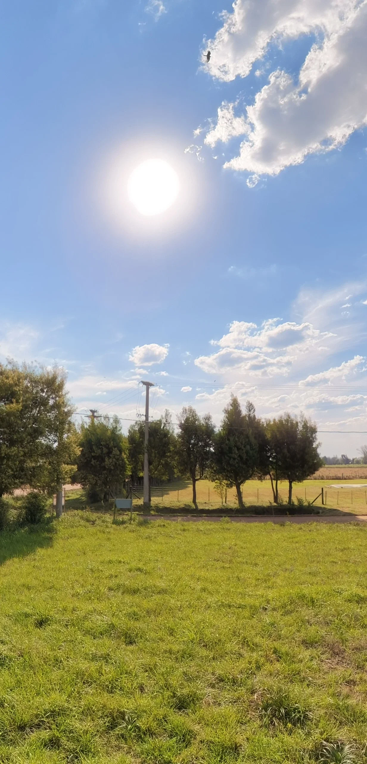 Terreno / Lote en venta de 2013m2 ubicado en Saladillo - Imagen 3