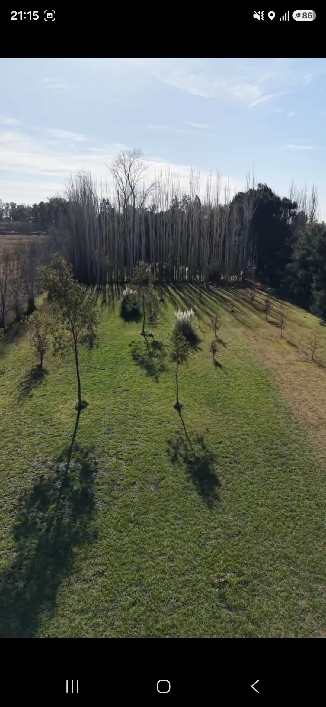 Chacra en venta de 10000m2 ubicado en Saladillo - Imagen 2