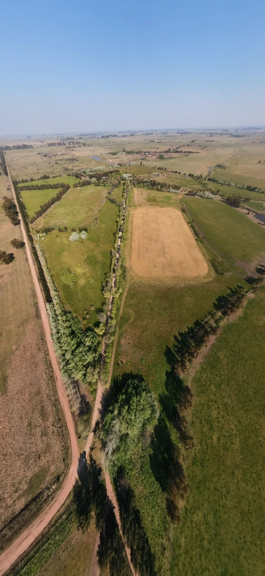 Campo en venta de 74ha ubicado en Ezeiza - Imagen 5