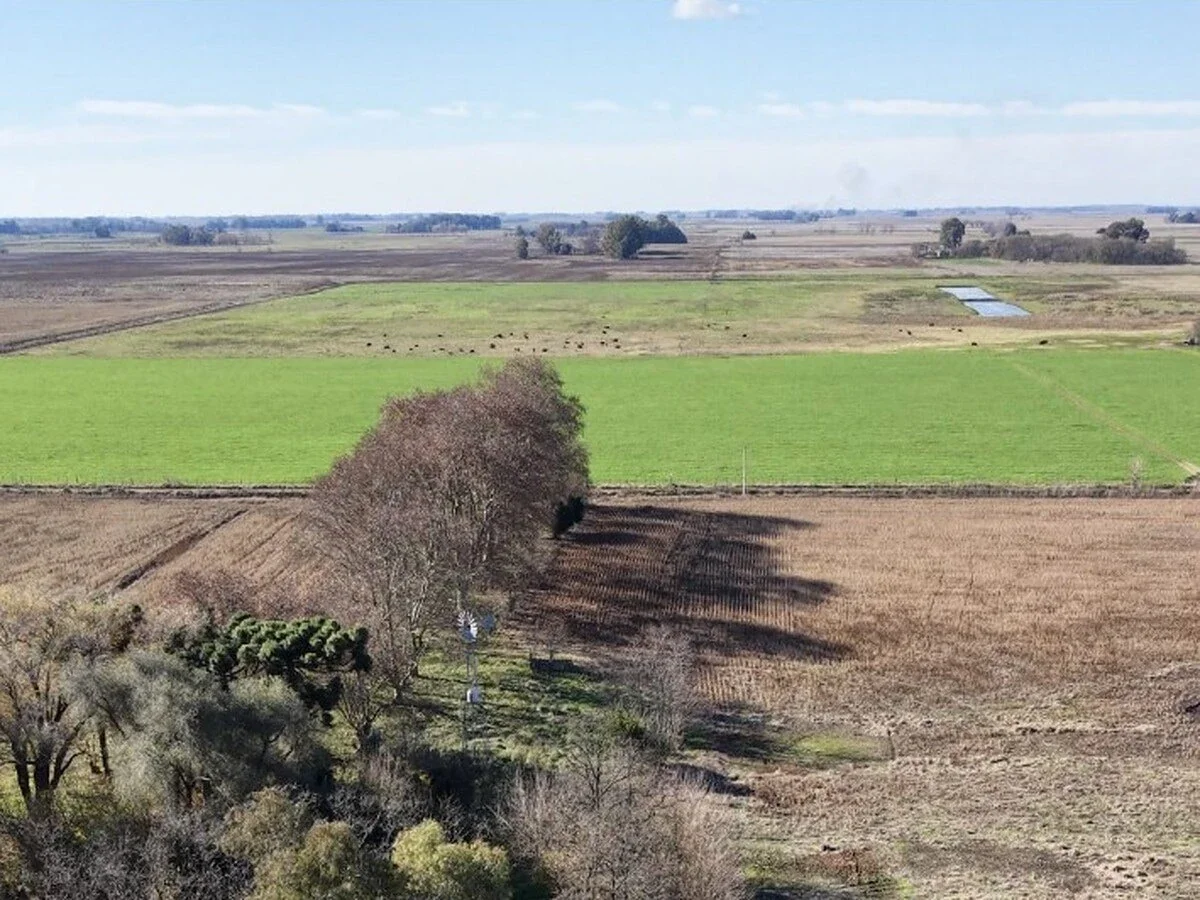 Campo en venta de 98ha ubicado en Saladillo - Imagen 5