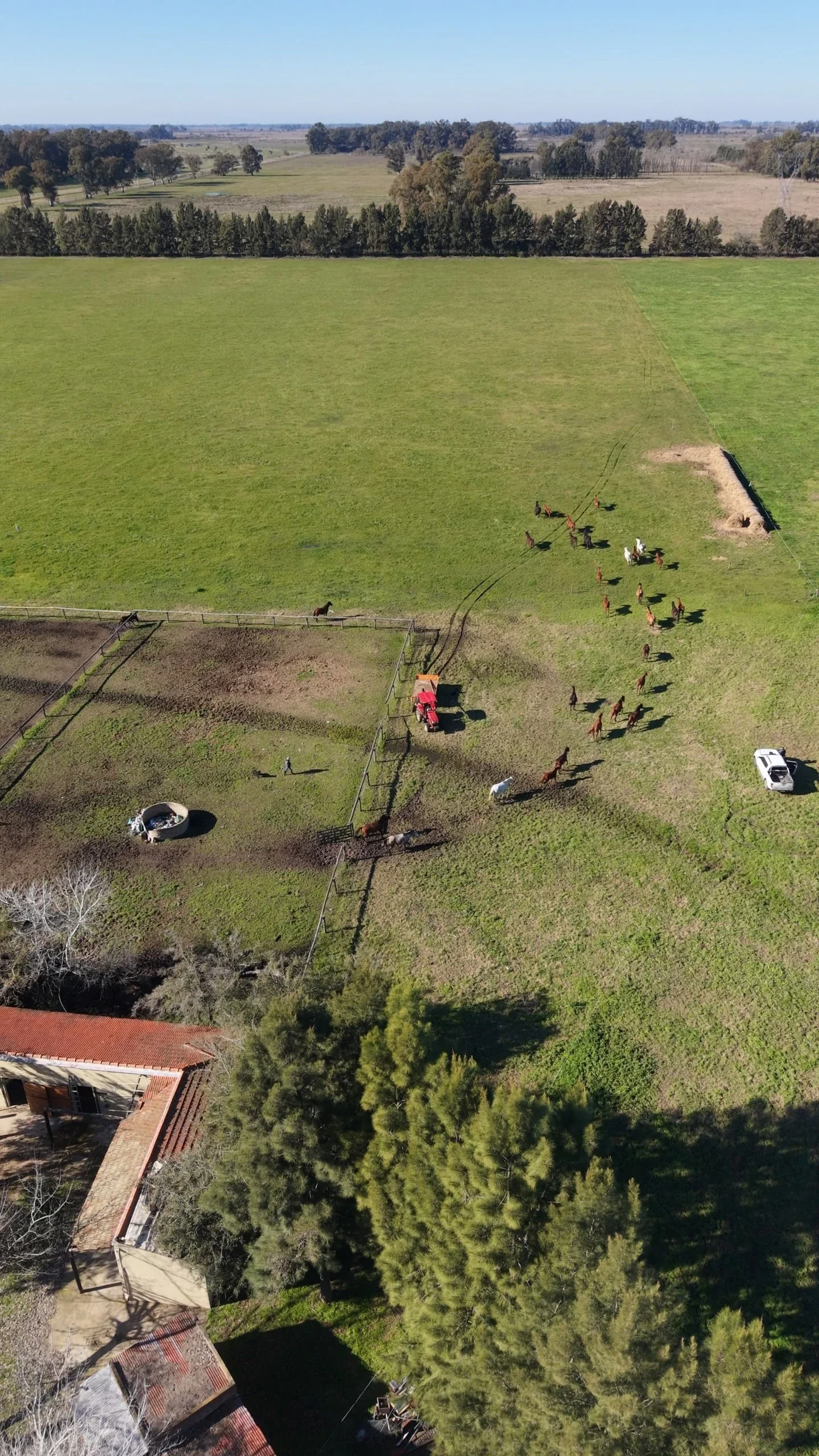 Campo en venta de 74ha ubicado en Ezeiza - Imagen 3