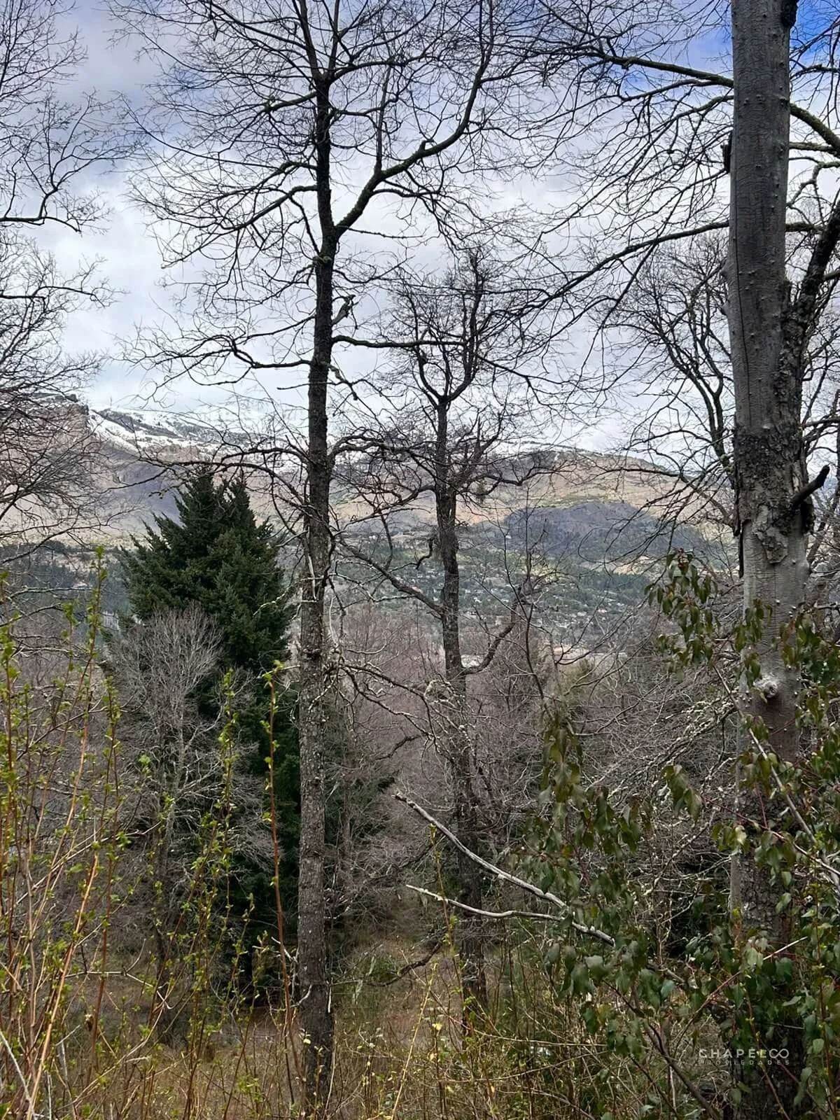 Terreno / Lote en venta de 3967.42m2 ubicado en San Martin de los Andes - Imagen 4