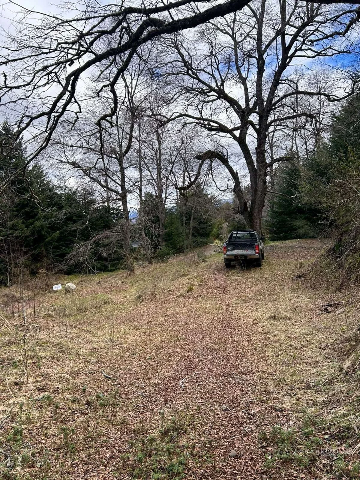 Terreno / Lote en venta de 3967.42m2 ubicado en San Martin de los Andes - Imagen 3