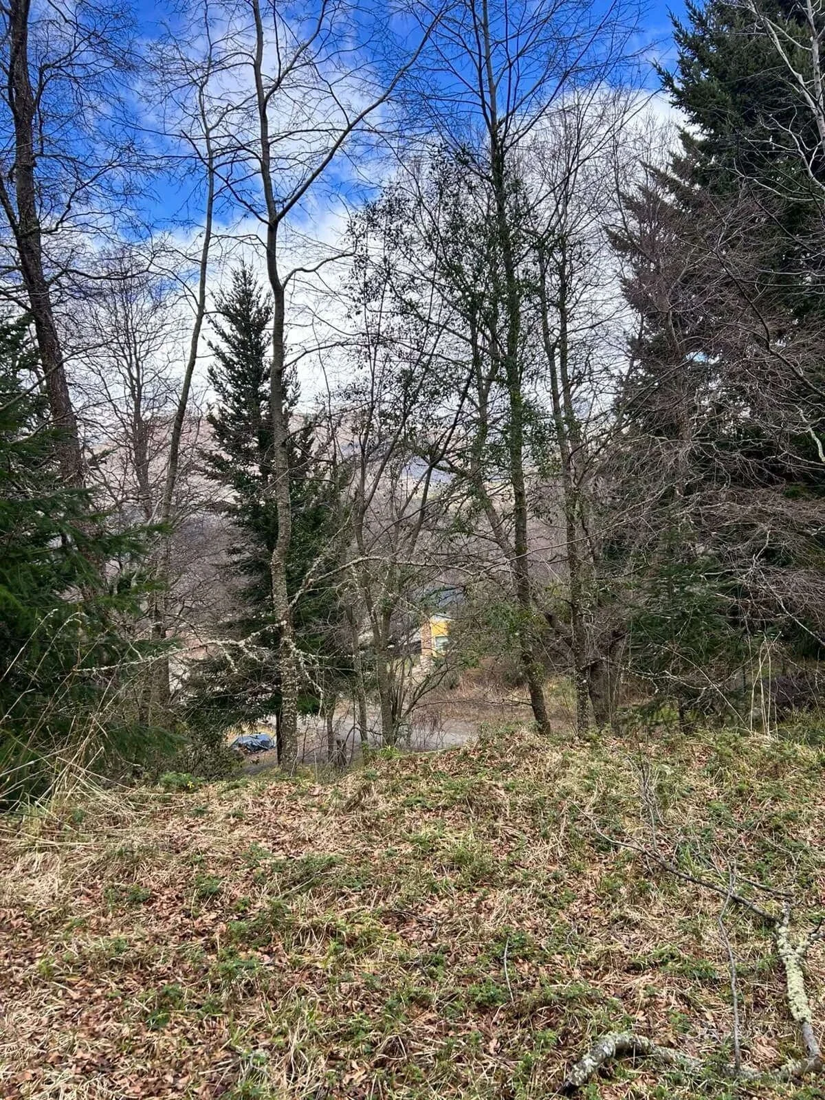Terreno / Lote en venta de 3967.42m2 ubicado en San Martin de los Andes - Imagen 5