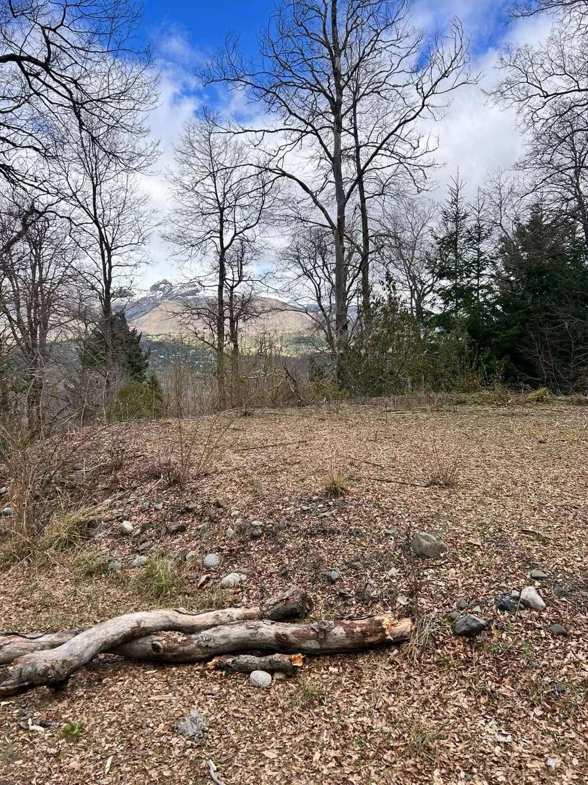 Terreno / Lote en venta de 3967.42m2 ubicado en San Martin de los Andes - Imagen 1