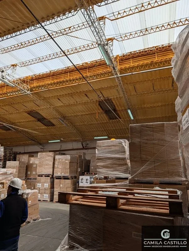 Galpón en alquiler de 750m2 ubicado en Villa Ortúzar - Imagen 4