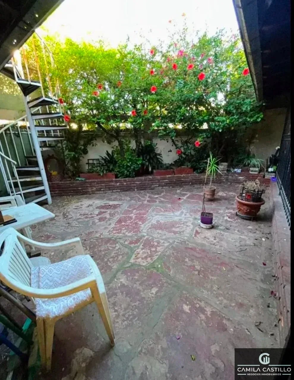 Venta casa 3 amb. con cochera, patio y terraza en Parque Avellaneda - Imagen 3
